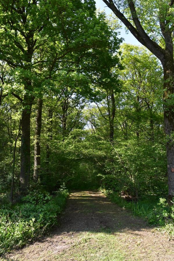 Jachthuis Au Bois Du Gheer Exteriör bild